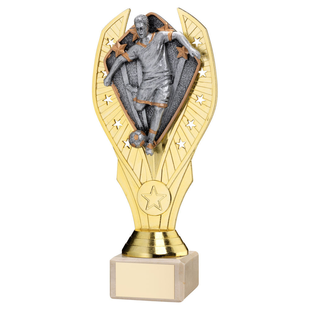 Gold Plastic Holder & Male Football Disc on Cream Marble Trophy