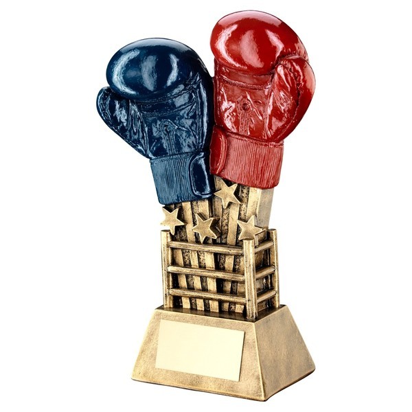 Bronze / Gold Boxing Gloves Star Burst Trophy
