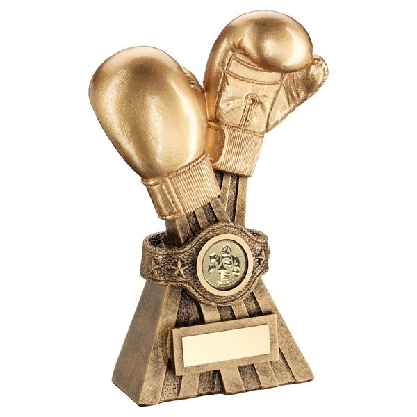 Gold/Bronze Boxing Gloves With Belt Trophy 