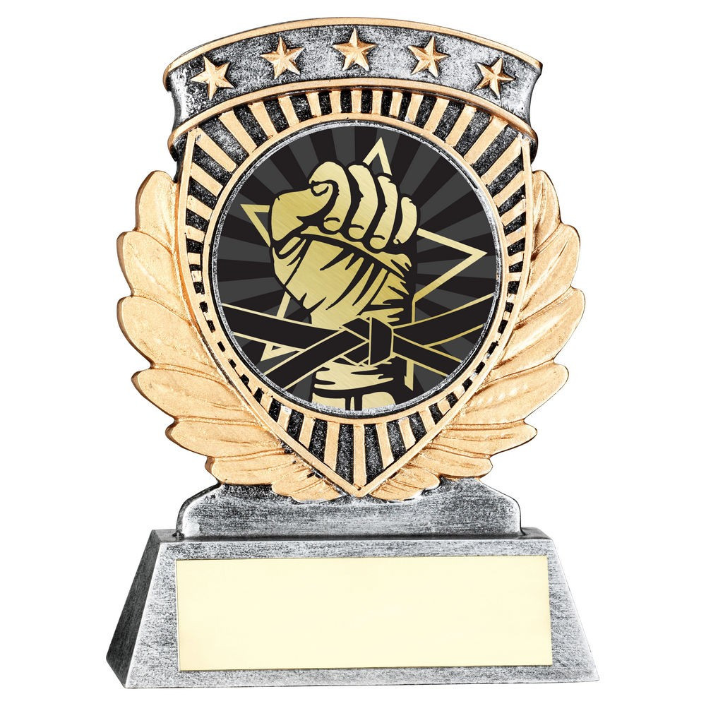 5 Star Holder with Martial Arts Insert