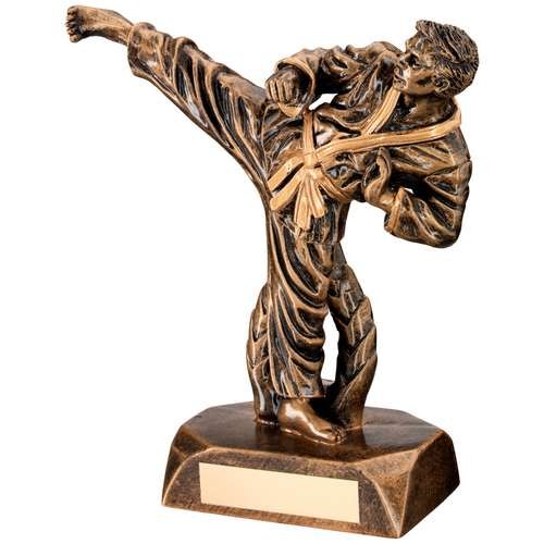 Bronze/Gold Resin Karate Figure Trophy