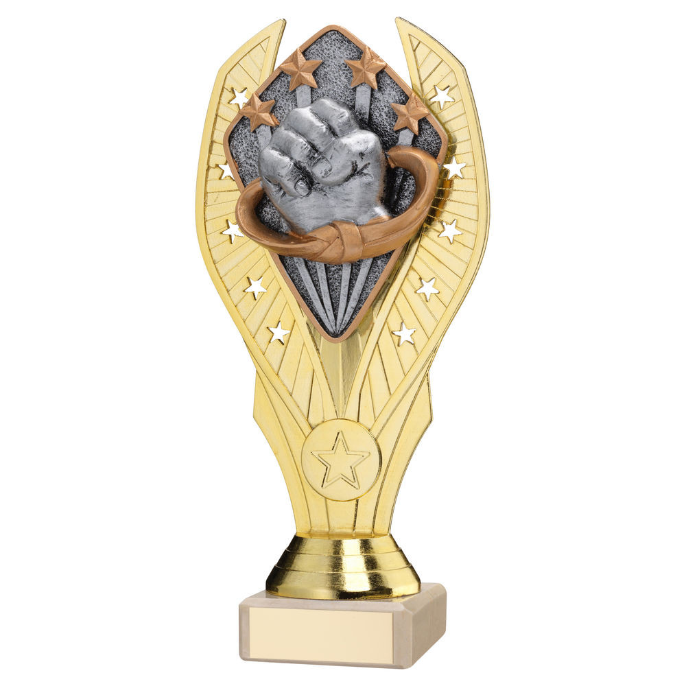 Gold Plastic Holder & Martial Arts Disc on Cream Marble Trophy