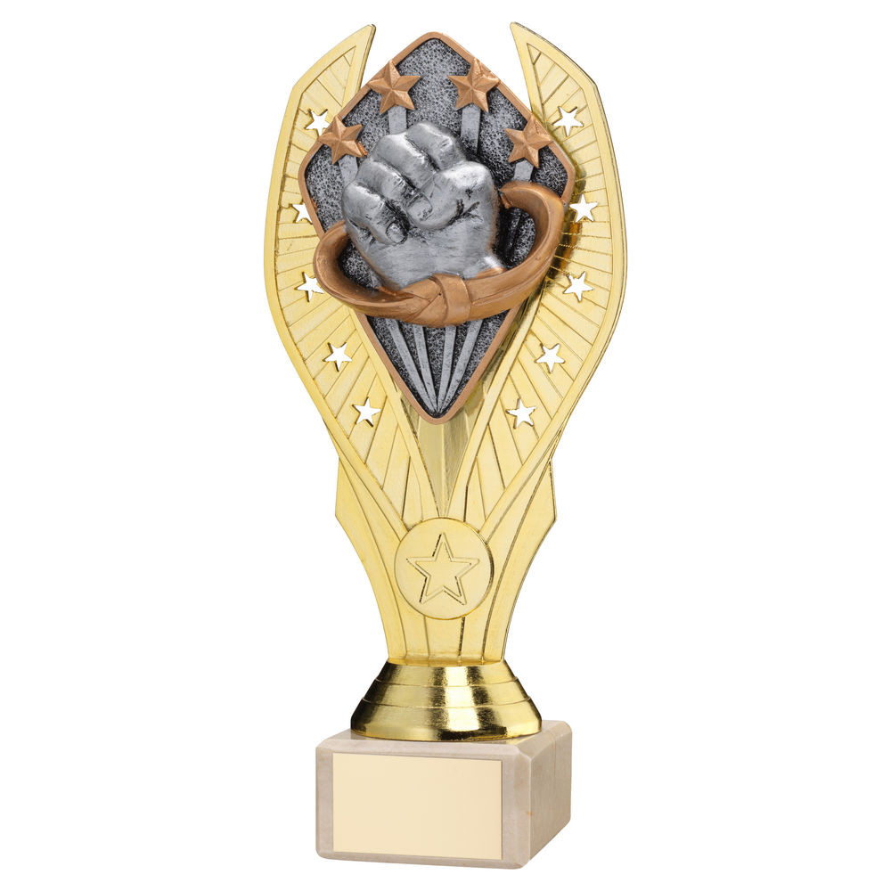 Gold Plastic Holder & Martial Arts Disc on Cream Marble Trophy