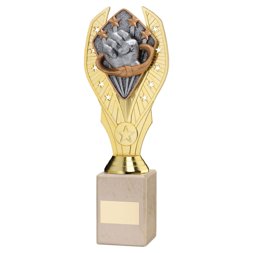Gold Plastic Holder & Martial Arts Disc on Cream Marble Trophy