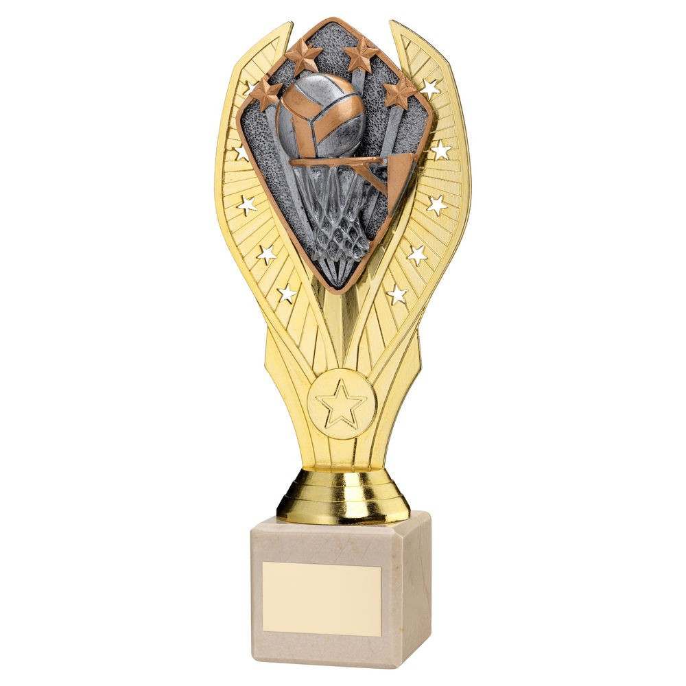 Gold Plastic Holder & Netball Disc on Cream Marble Trophy