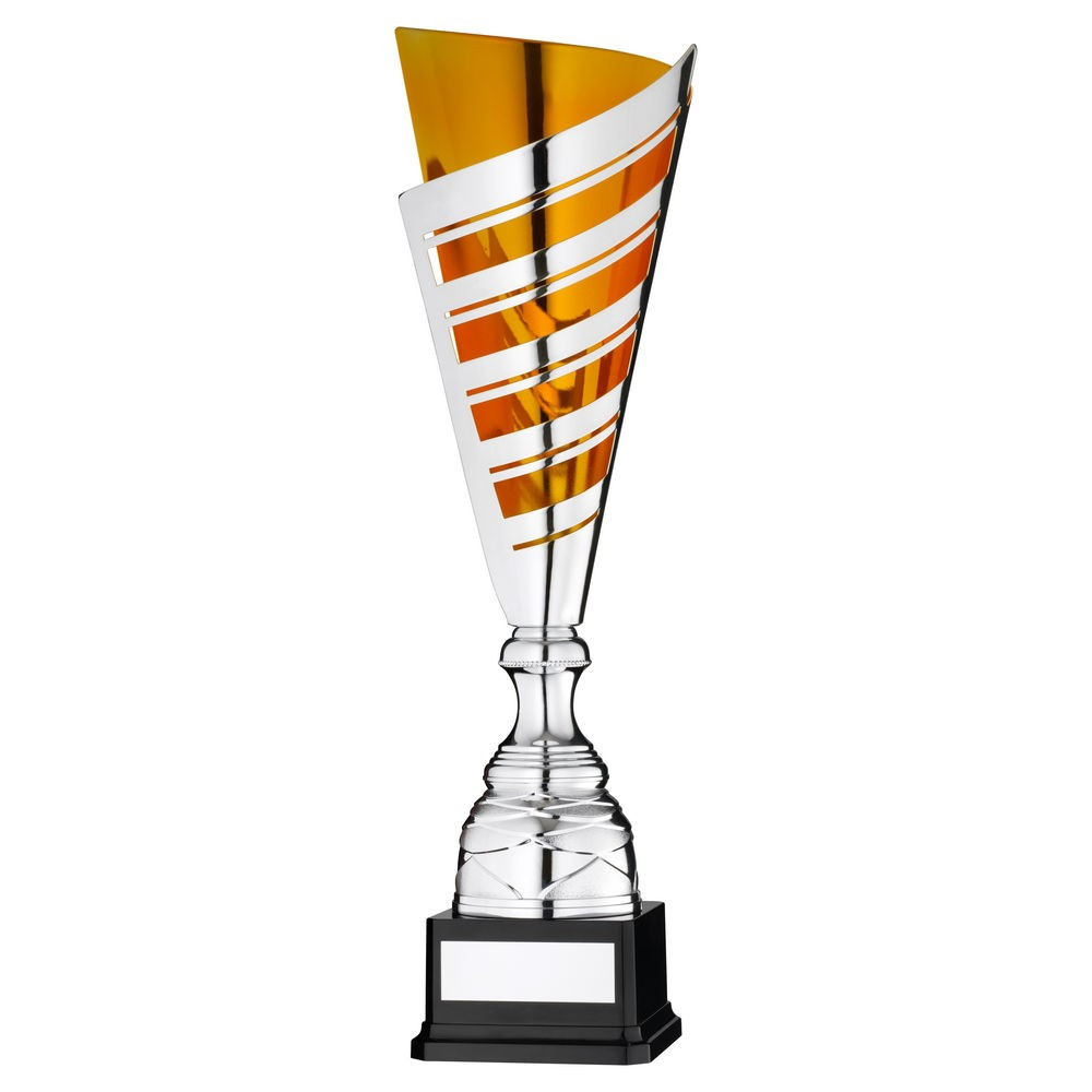 Silver & Gold Striped Cup