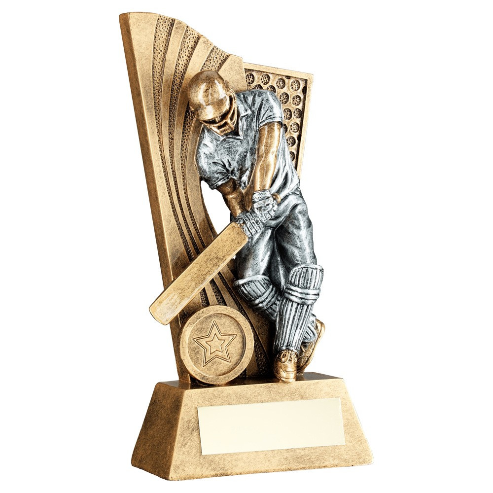 Antique Bronze Male Cricket Batsman on Backdrop