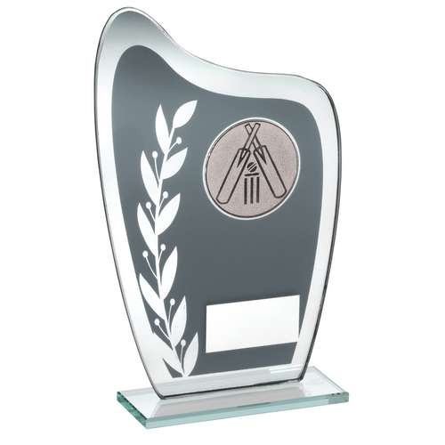 Grey/Silver Glass Plaque with Cricket Insert Trophy