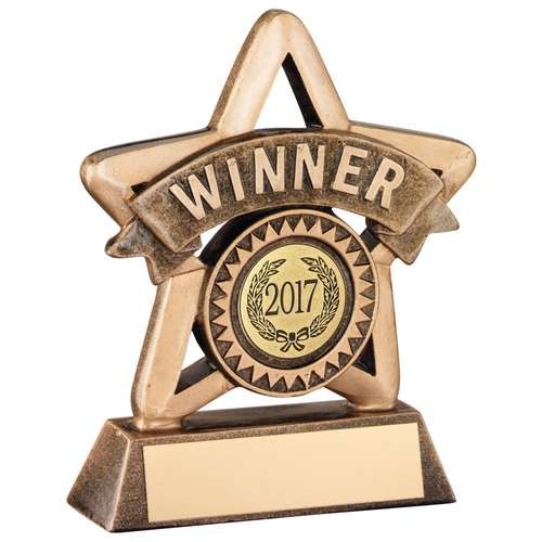 Bronze/Gold Resin 'Winner' Mini Star Trophy