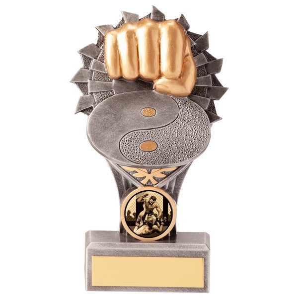 Falcon Martial Arts Award 