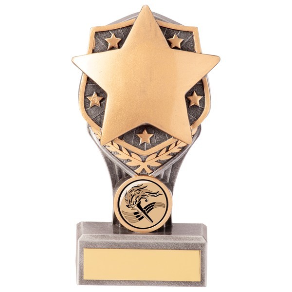 Falcon Achievement Star Award 