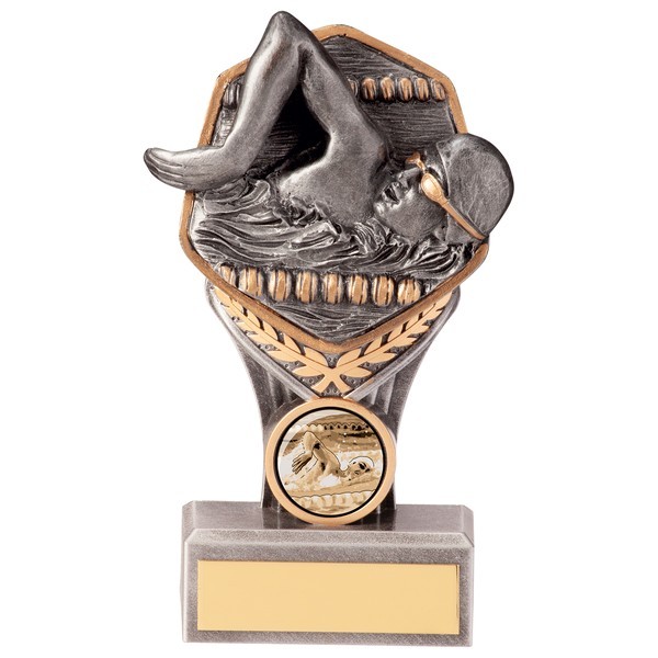 Falcon Swimming Male Award 