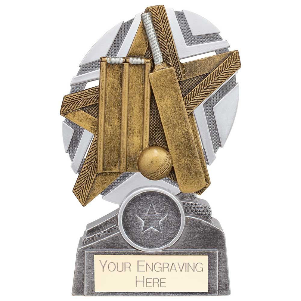 The Stars Cricket Plaque Award Silver & Gold 