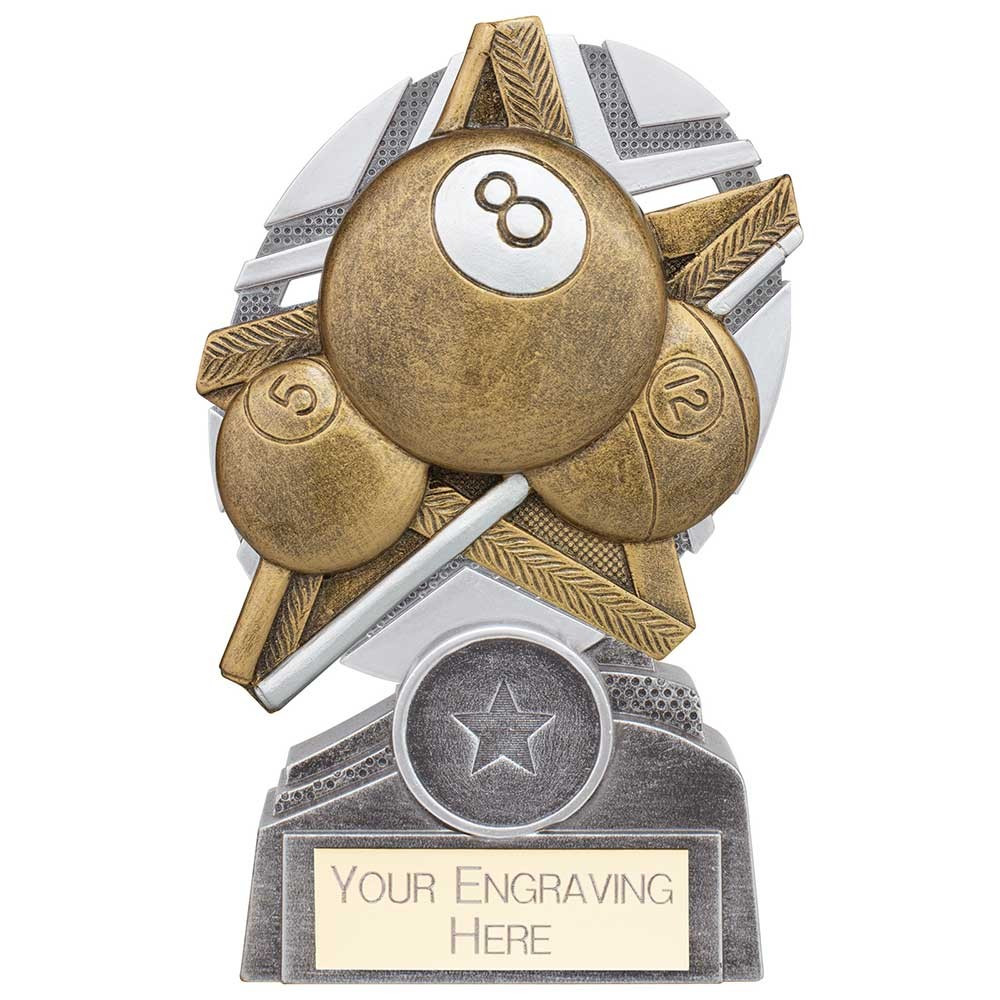 The Stars Pool Plaque Award Silver & Gold 