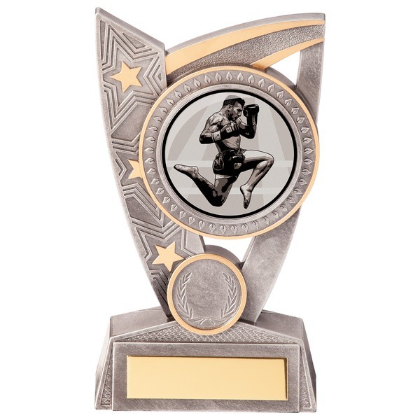 Triumph Kickboxing Award 