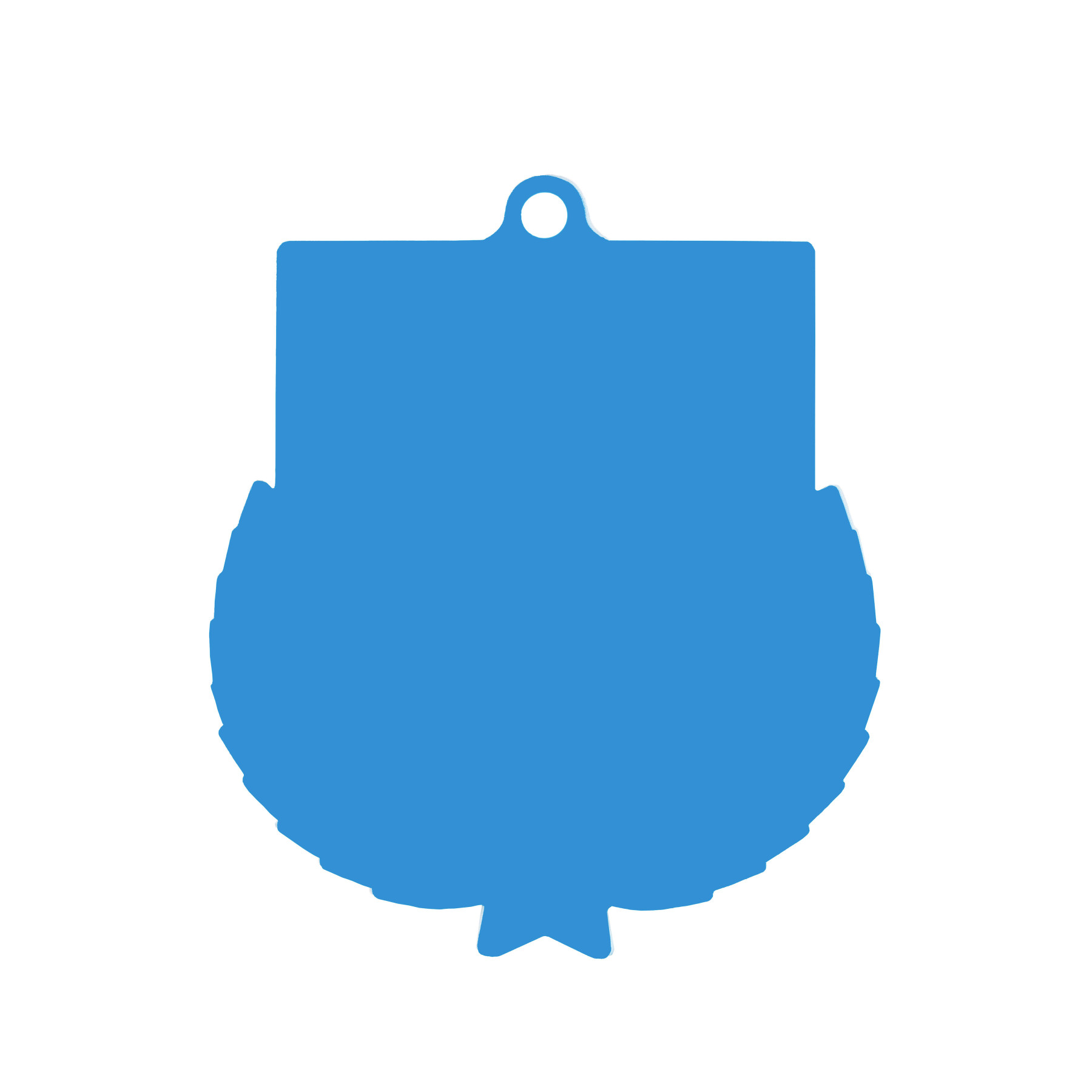 Colour Printed Light Blue Shield Shaped Medal