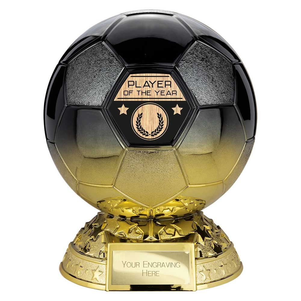 Elite Heavyweight Player of Year Award Carbon Black to Gold