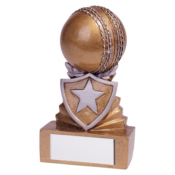 Shield Cricket Mini Award 