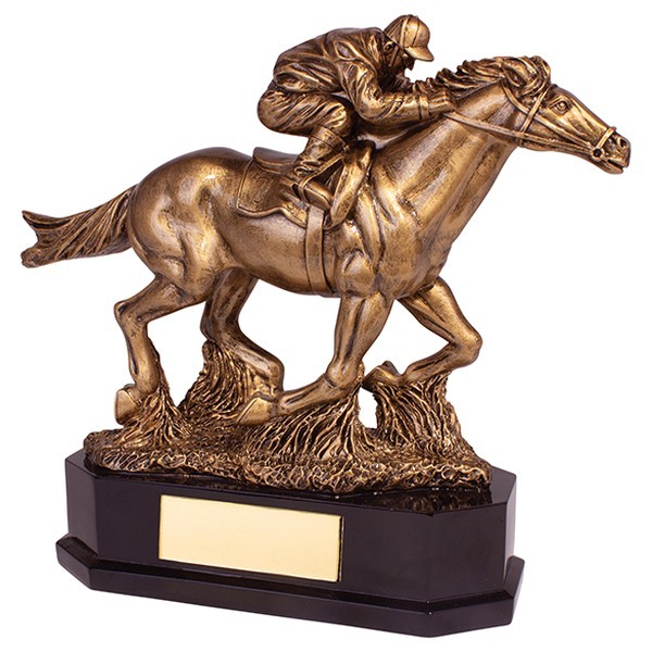 Aintree Equestrian Racing Horse Award