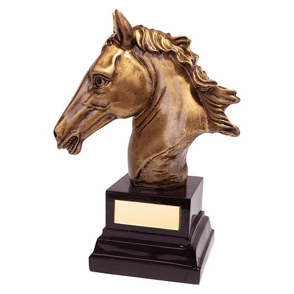 Belmont Equestrian Award