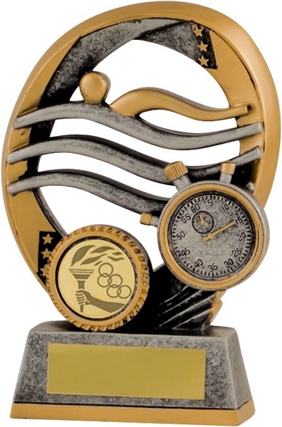 Gunmetal / Gold Swimming Trophy
