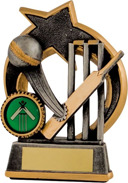 Gunmetal / Gold Cricket Batting Trophy