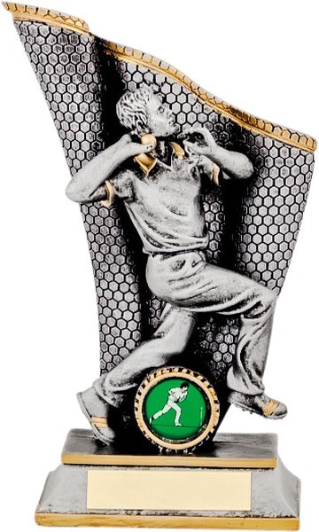Silver Cricket Bowling Award