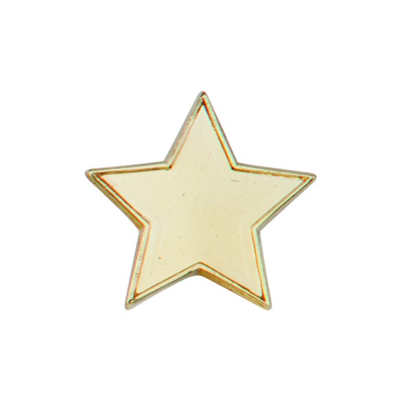 Scholar Pin Badge Star