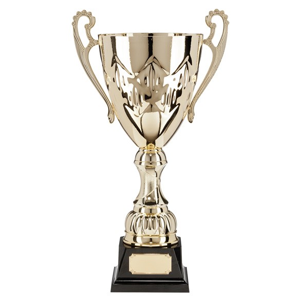 Nickel Plated Canterbury Collection Cup Cups Award Trophy 7 sizes FREE Engraving 