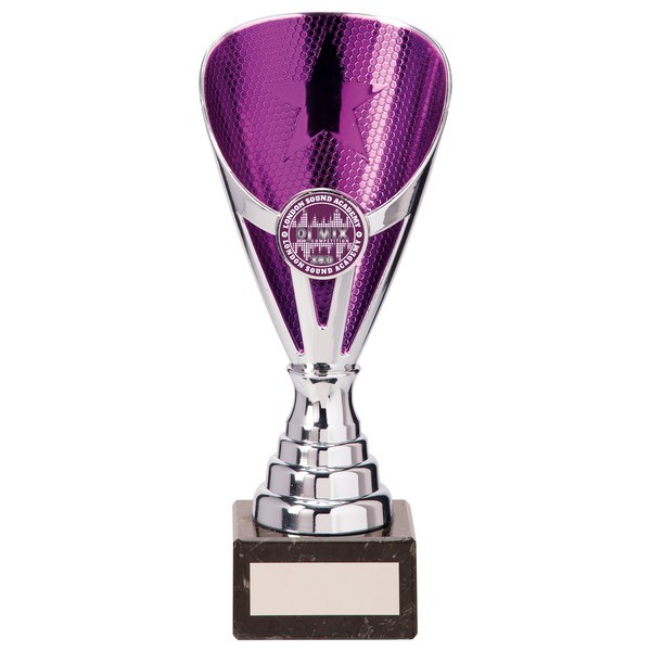 Rising Stars Premium Plastic Trophy Silver & Purple 