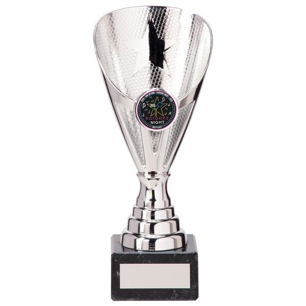 Rising Stars Premium Plastic Trophy Silver 
