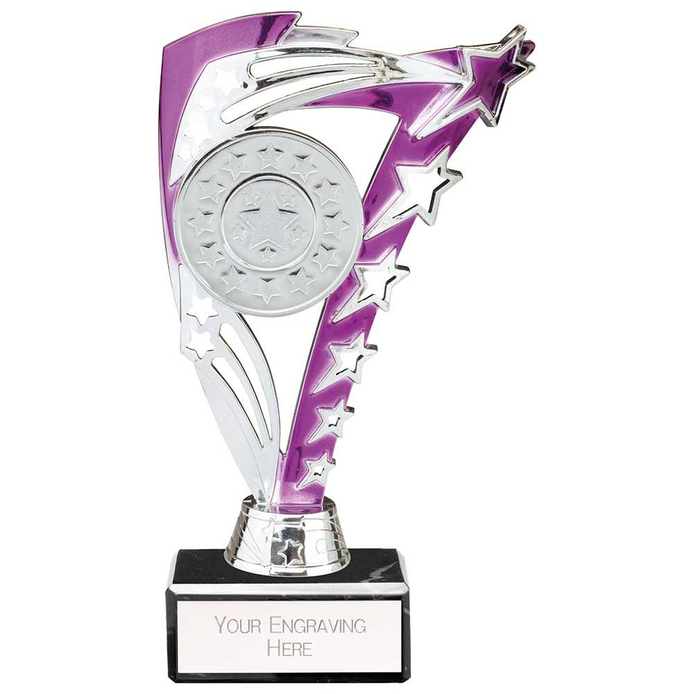Frenzy Multisport Trophy Silver & Purple 