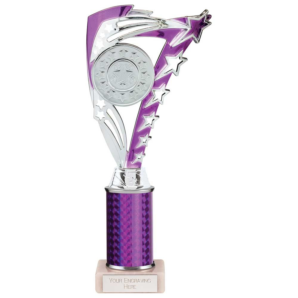 Frenzy Multisport Tube Trophy Silver & Purple 