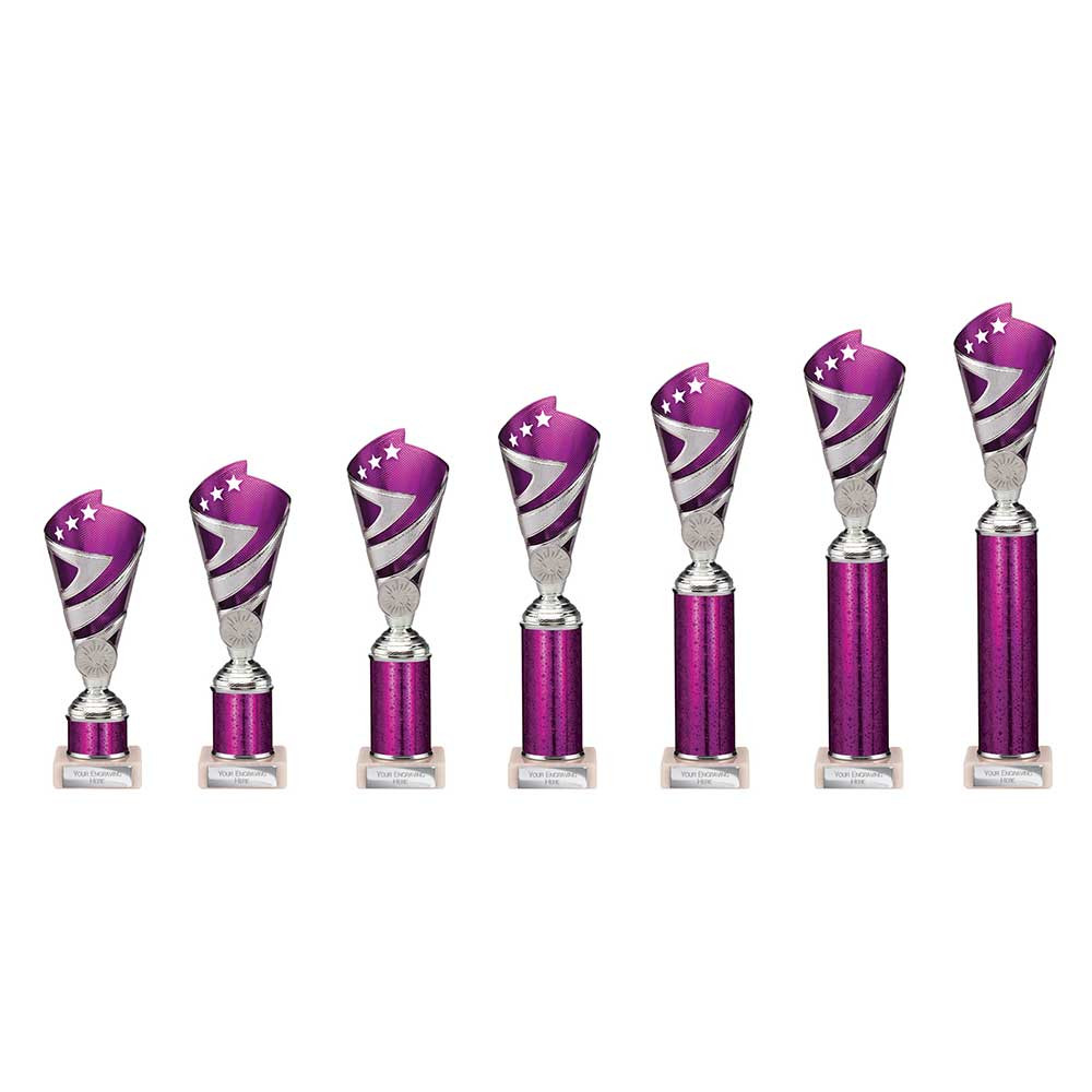 Hurricane Multisport Plastic Tube Cup Silver & Purple 