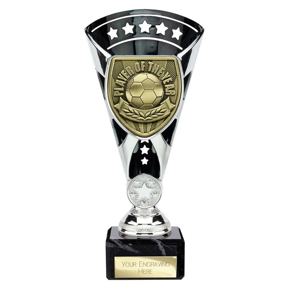 Cobra Star Cup Player of Year Silver & Black