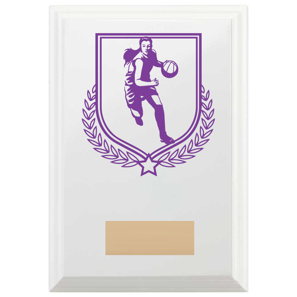 Basketball Reward Plaque In Arctic White
