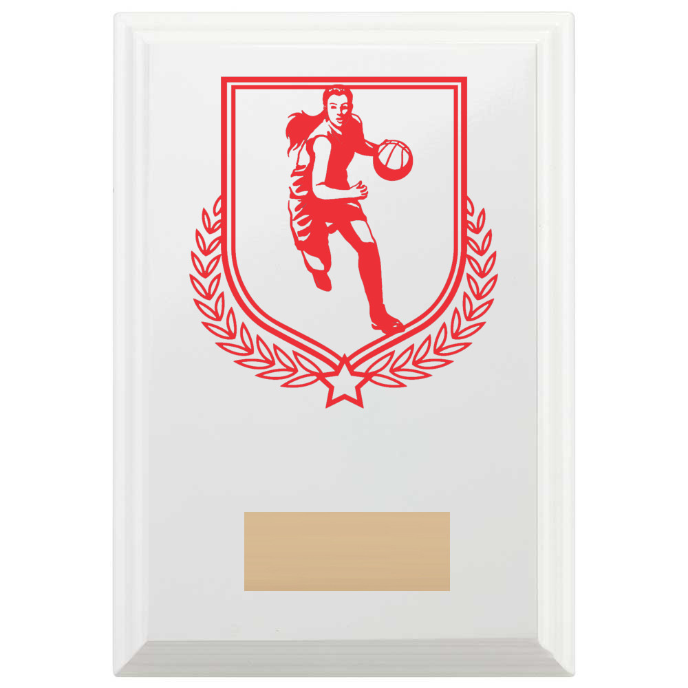 Basketball Reward Plaque In Arctic White