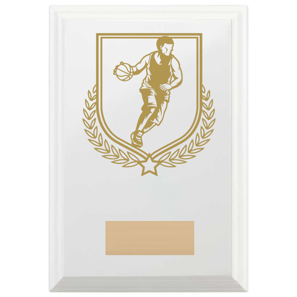 Basketball Reward Plaque In Arctic White