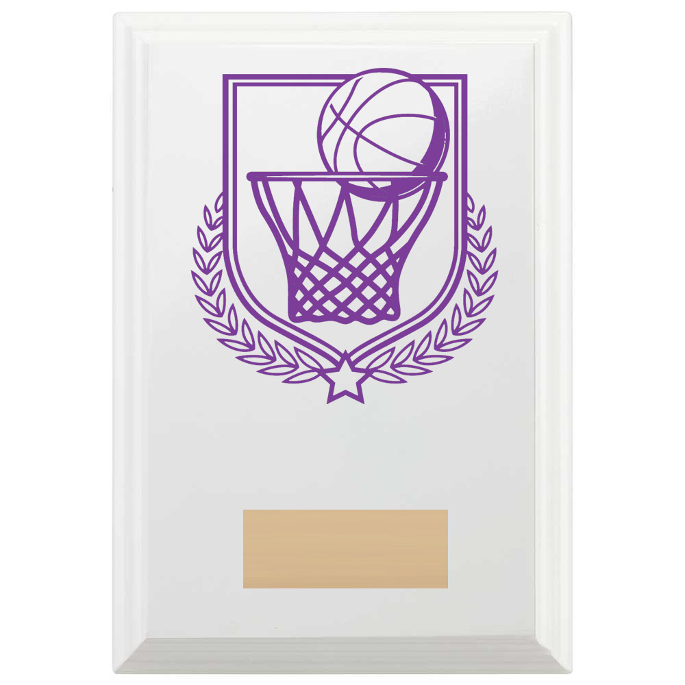 Basketball Reward Plaque In Arctic White
