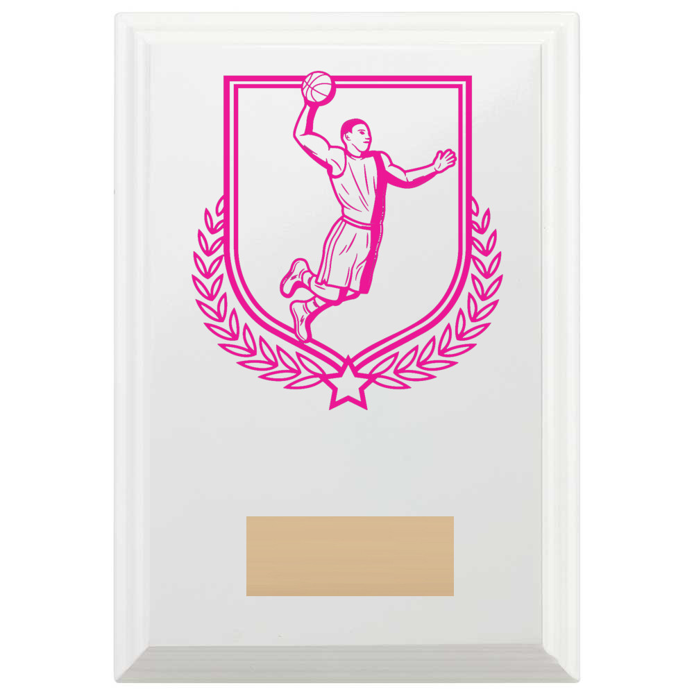 Basketball Reward Plaque In Arctic White