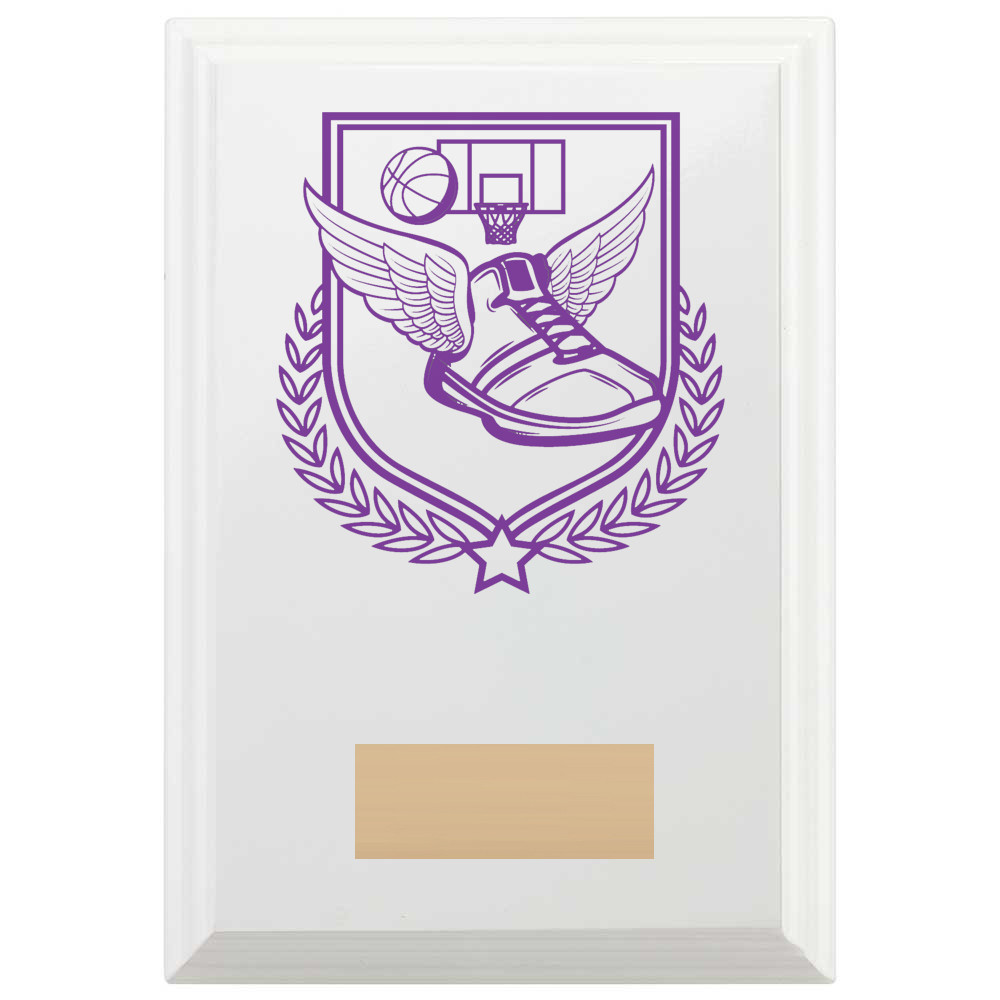Basketball Reward Plaque In Arctic White