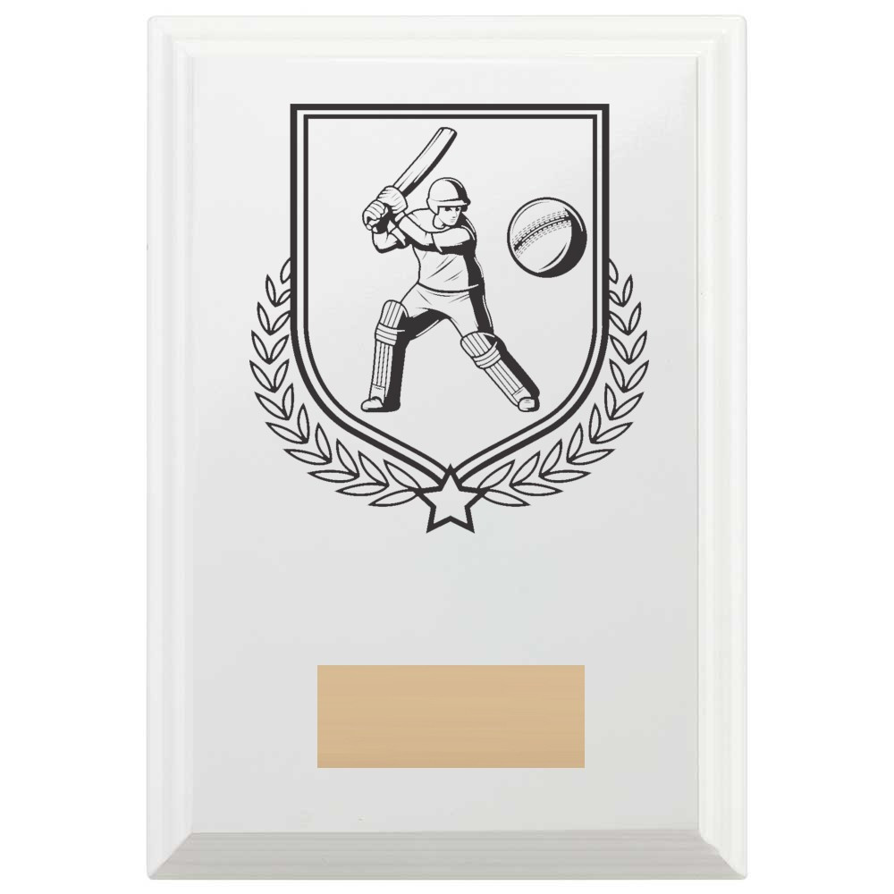 Cricket Batting Reward Plaque In Arctic White