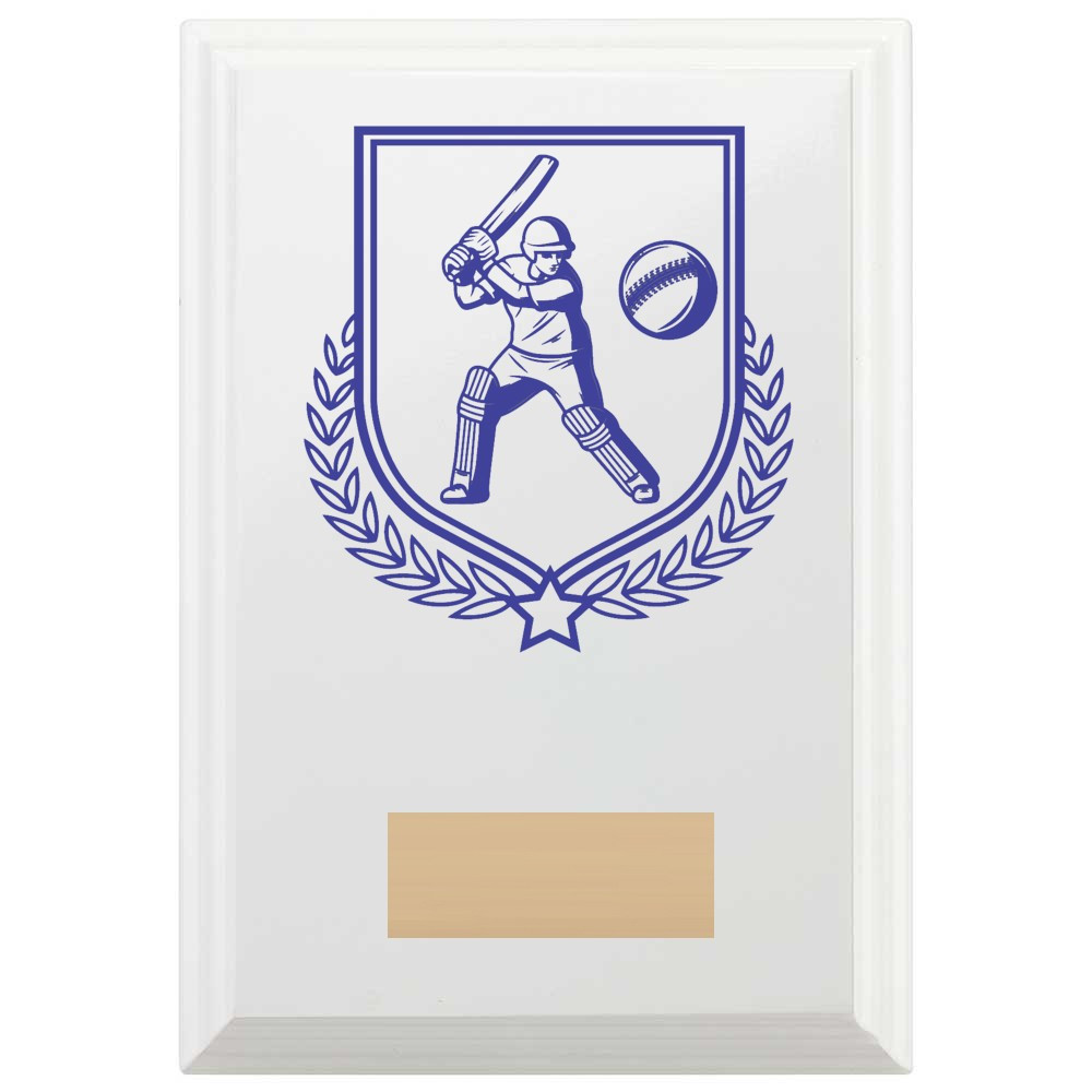 Cricket Batting Reward Plaque In Arctic White