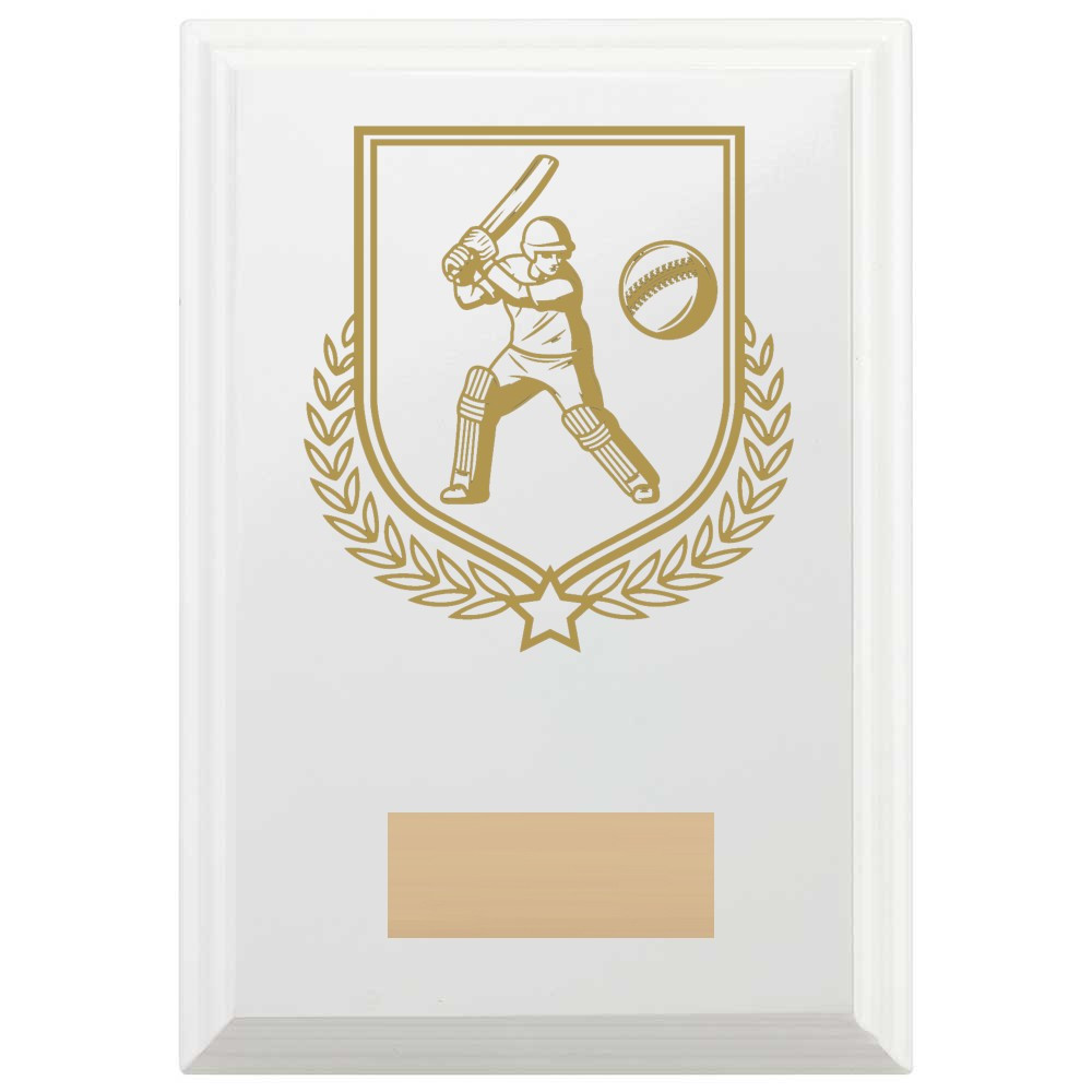 Cricket Batting Reward Plaque In Arctic White
