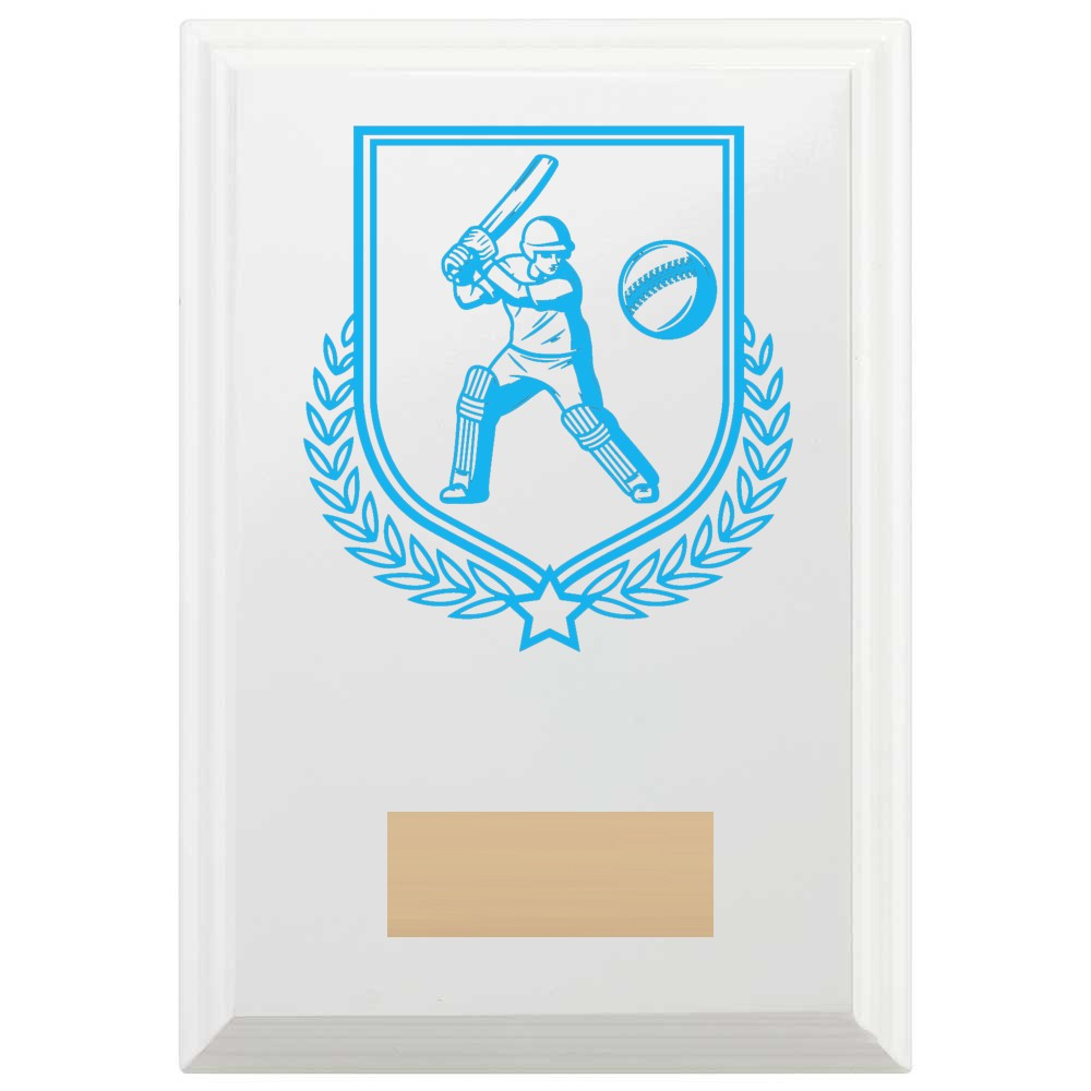 Cricket Batting Reward Plaque In Arctic White