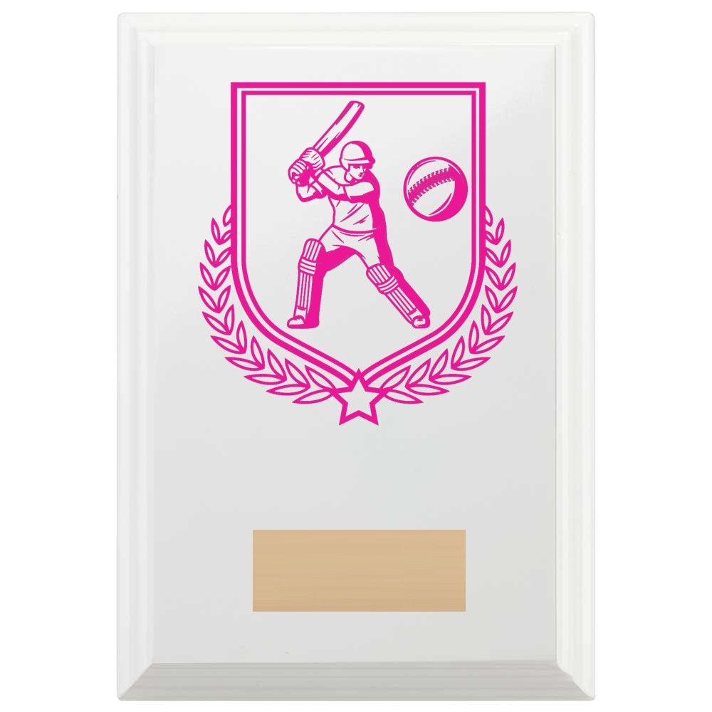 Cricket Batting Reward Plaque In Arctic White