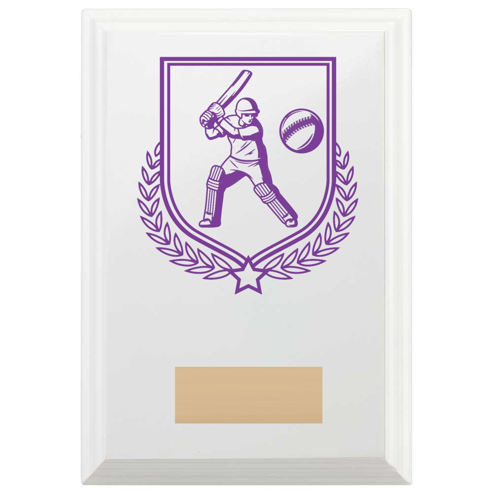 Cricket Batting Reward Plaque In Arctic White