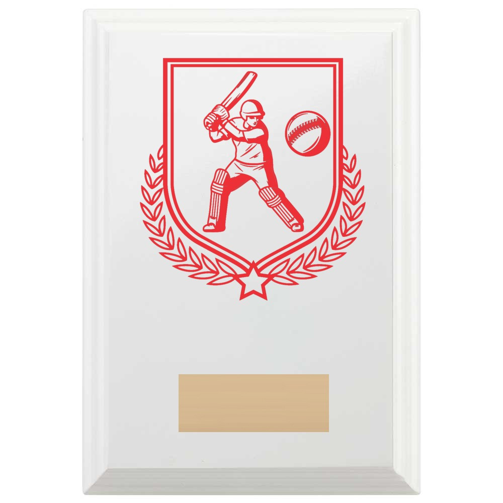 Cricket Batting Reward Plaque In Arctic White