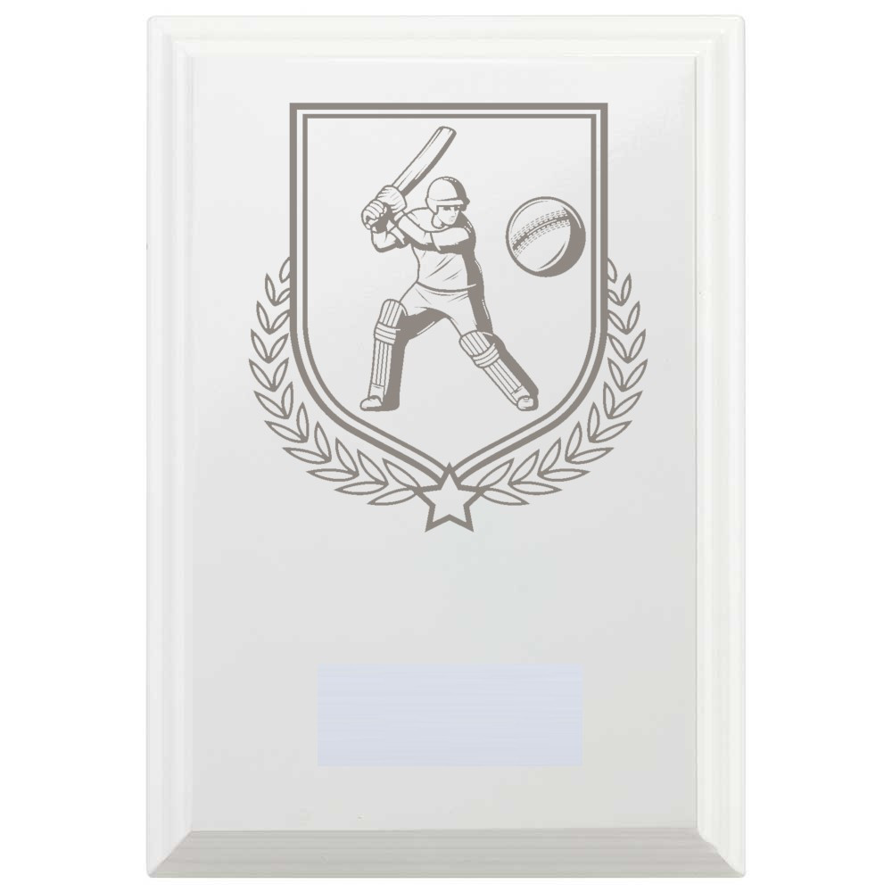 Cricket Batting Reward Plaque In Arctic White