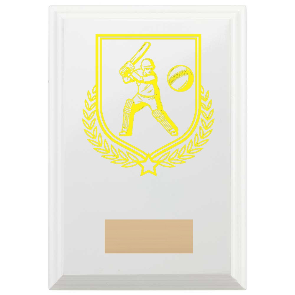 Cricket Batting Reward Plaque In Arctic White